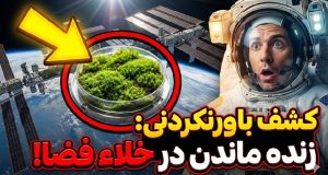 بقای خزه صحرایی در فضا