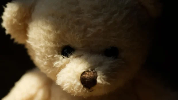 عروسک هوشمند