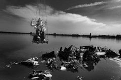 عکس‌های برتر حیات وحش 2025