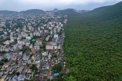 عکس‌های برتر حیات وحش 2025