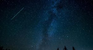 کشف اولین ستگارن