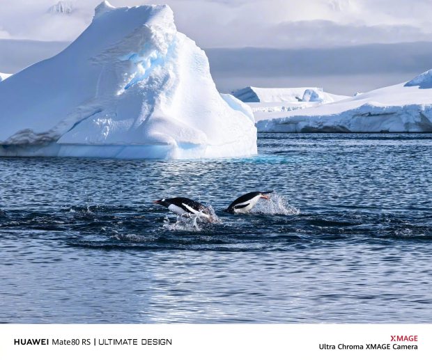 نمونه تصاویر دوربین هواوی میت 80