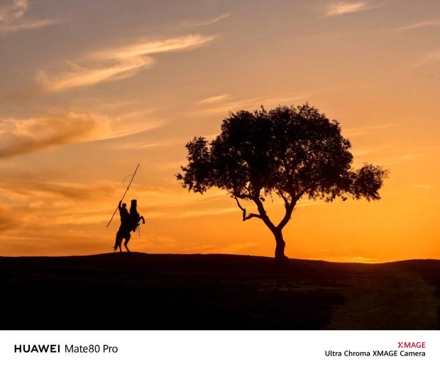 نمونه تصاویر دوربین هواوی میت 80