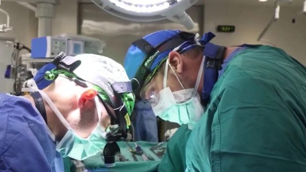 حقایقی درباره مغز