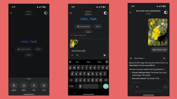 گوگل جمینای