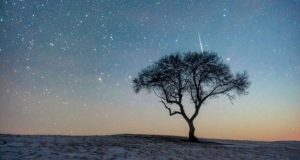 بارش شهابی لئونید