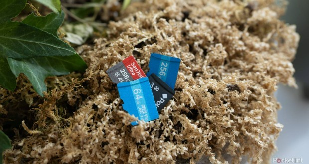 کارت‌های microSD