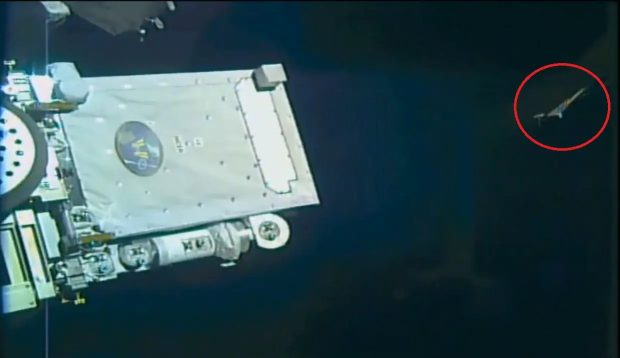 تصاویر منتشر نشده آپولو