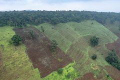 عکس‌های برتر حیات وحش 2025