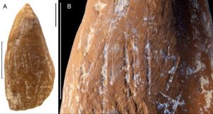 نقاشی نئاندرتال‌ها
