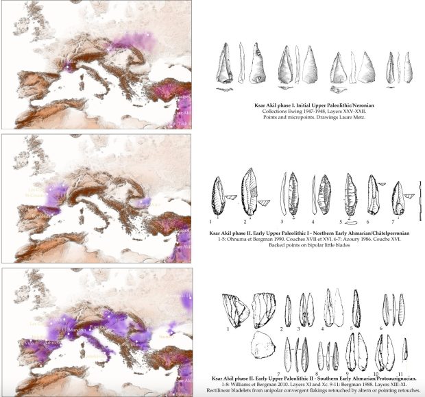 رابطه نئاندرتالها و انسانها