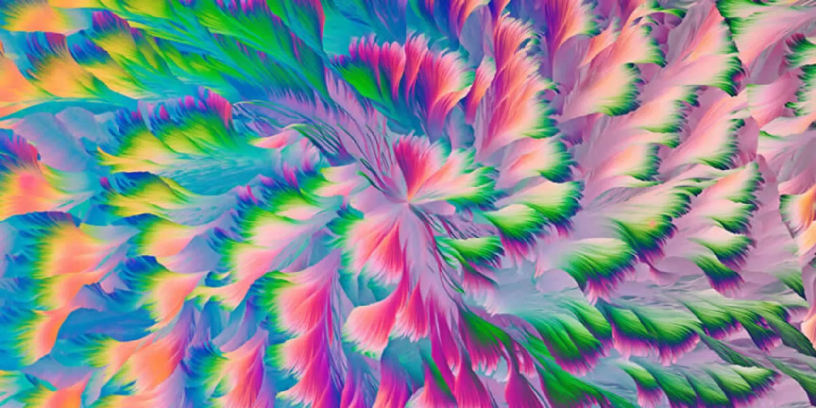 برندگان مسابقه عکاسی پانورامای اپسون 2025