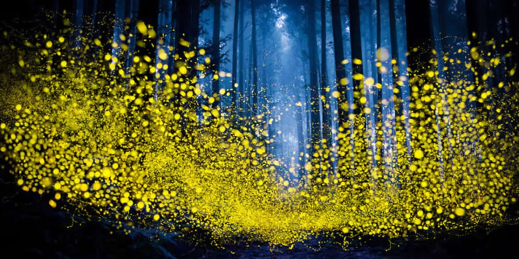 برندگان مسابقه عکاسی پانورامای اپسون 2025