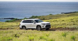 7 شاسی بلند خانوادگی قیمت مناسب