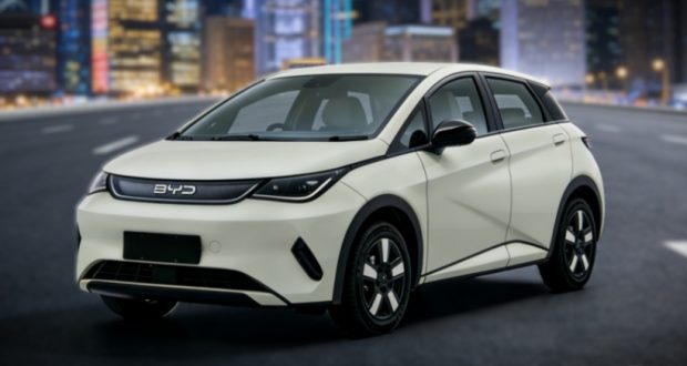 بیوایدی دلفین G