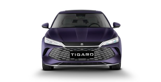 بی وای دی چین ال