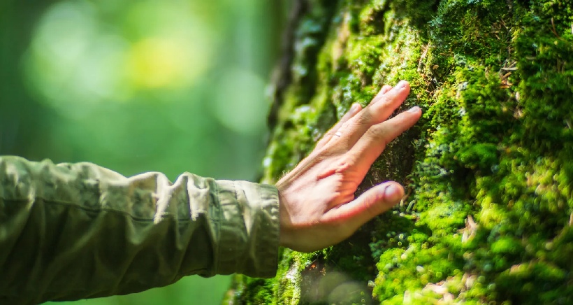 ارتباط بدن انسان با زندگی مدرن و طبیعت