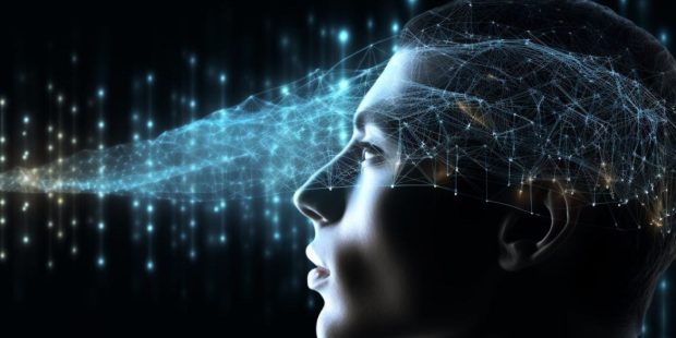 هوش ارگانوئیدی