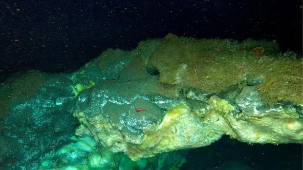 کشف بیوسفر عظیم زیرزمینی