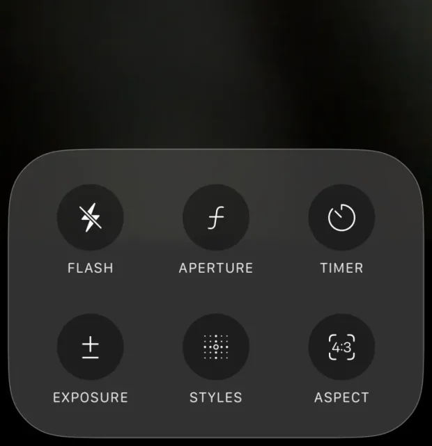 حالت شب پرتره