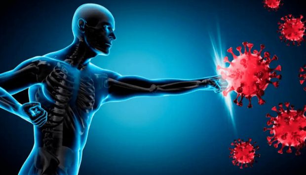 افزایش ایمنی بدن