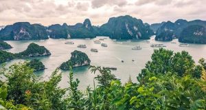 خلیج هالونگ