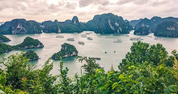 خلیج هالونگ