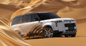 شاسی بلند Polestones Adamas