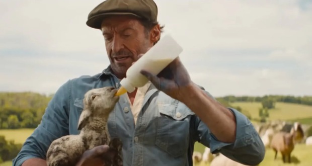 تماشا کنید: تریلر فیلم The Sheep Detectives با بازی هیو جکمن منتشر شد