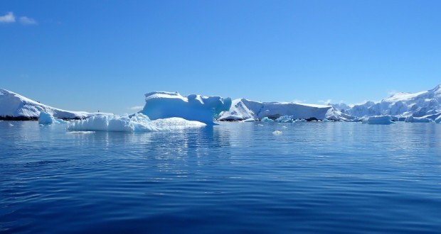 ربات گمشده در قطب جنوب