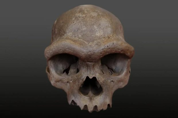 کشفیات باستان شناسی ۲۰۲۵