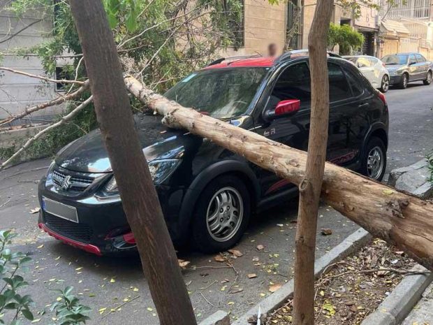 مکان های خطرناک برای پارک خودرو