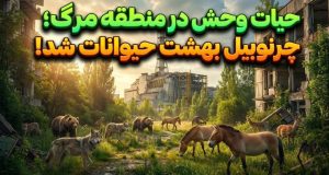 حیات وحش چرنوبیل
