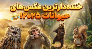 مسابقه عکس حیات وحش کمدی ۲۰۲۵