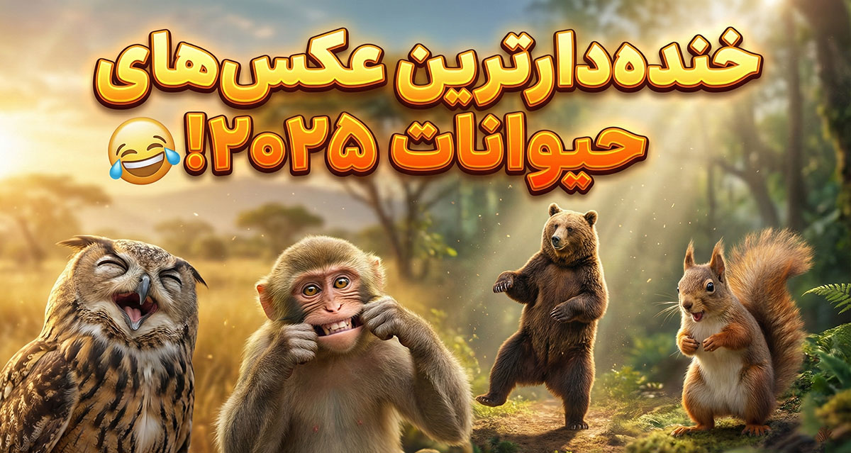 مسابقه عکس حیات وحش کمدی ۲۰۲۵