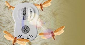 خطرناک‌ترین حشرات