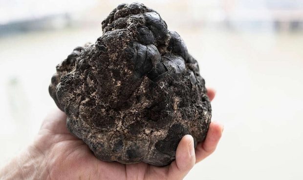 اکسیژن تاریک