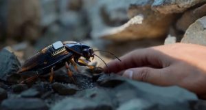 سوسک سایبورگ