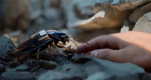 سوسک سایبورگ