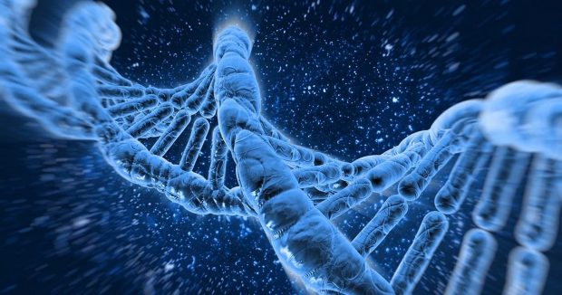 معمای ژنوم انسان