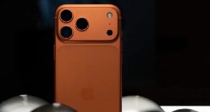 حالت شب پرتره