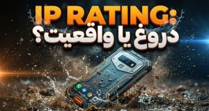 رتبه‌بندی IP