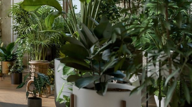 وسایل در خودروی یخزده