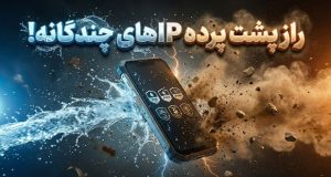 رتبه‌بندی‌های IP