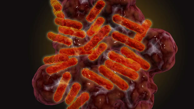 کشف بیماری جدید ناشی از کنه در سگها