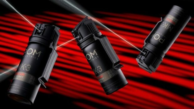 وسایل در خودروی یخزده