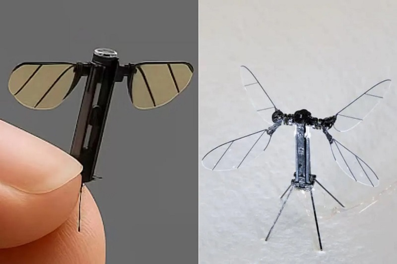 کوچک ترین پهپادهای دنیا و کاربرد آنها