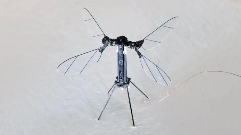 کوچک ترین پهپادهای دنیا و کاربرد آنها