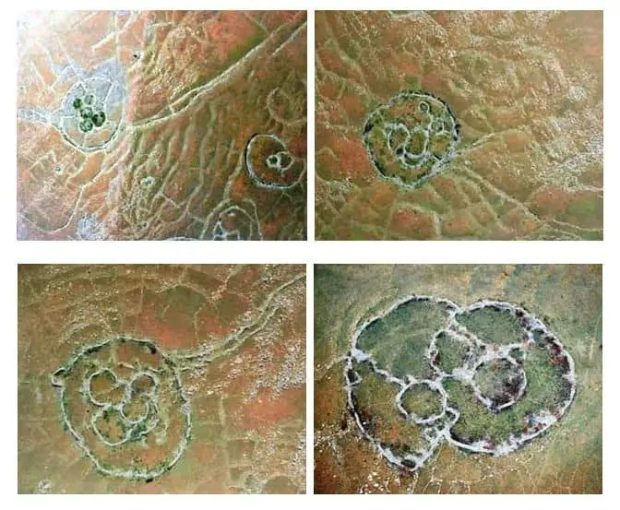 ریشه انسانها در جنوب آفریقا