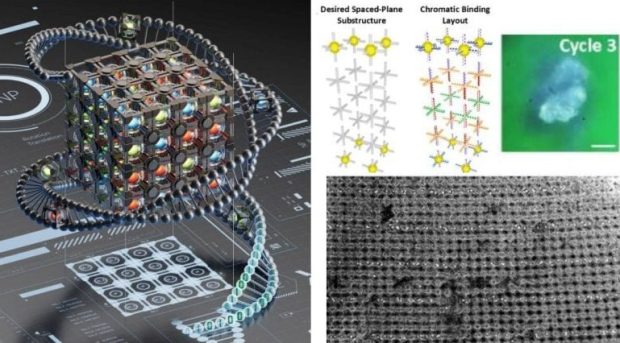 طراحی سه‌بعدی با DNA
